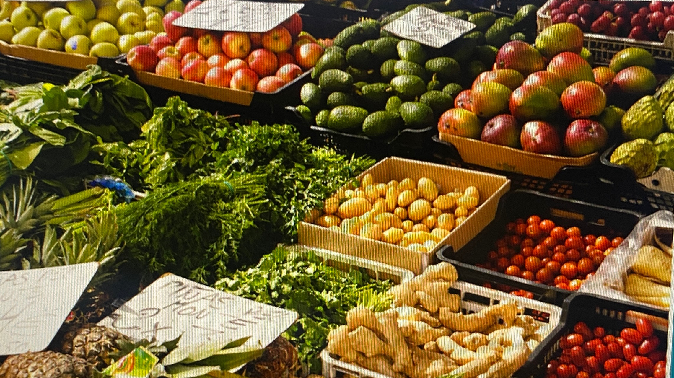 img 8073 ab14e057 37e6 4471 a599 f494ee45ef93(1)